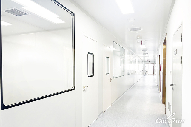 Clean Room Viewing Window